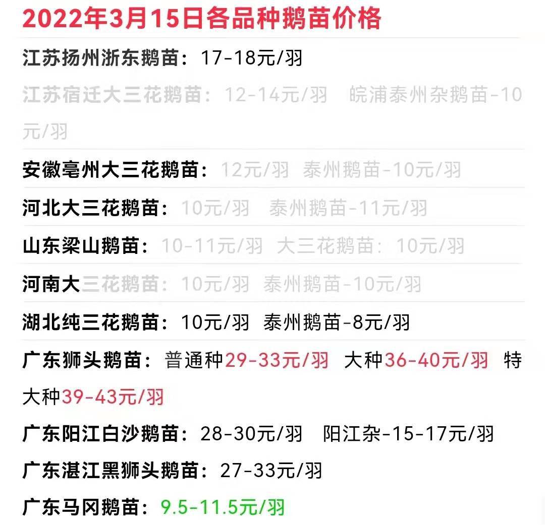 鹅报价最新动态，市场分析、趋势预测与影响因素深度探讨