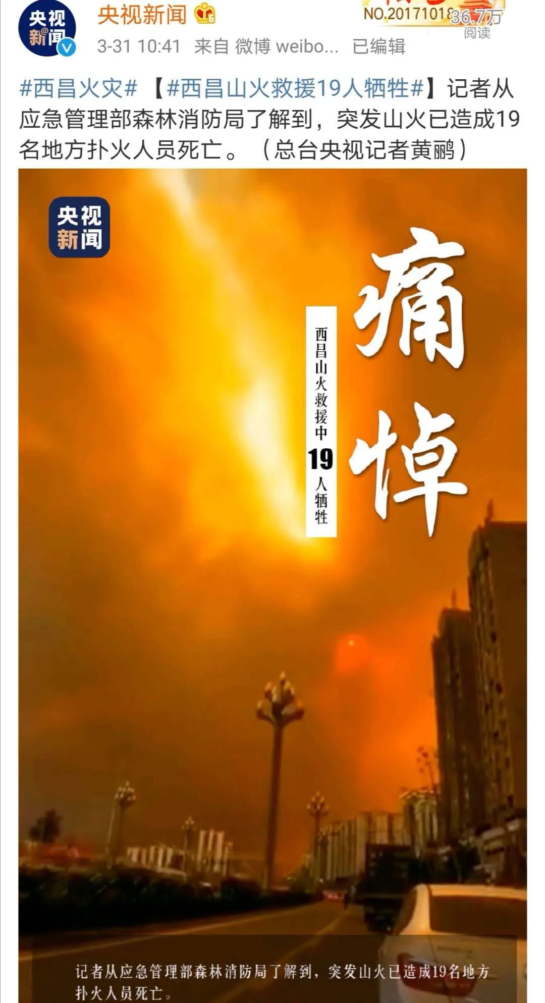 西昌山火最新动态，温馨山林奇遇记